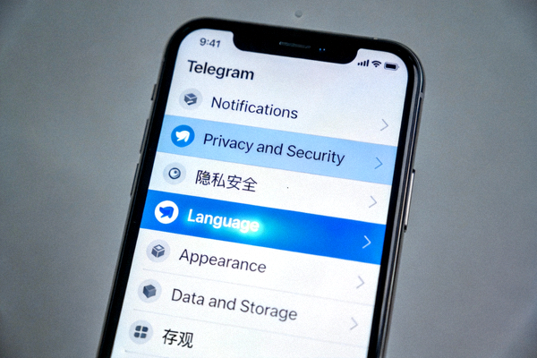 Telegram设置菜单列表，其中Language语言选项被高亮显示